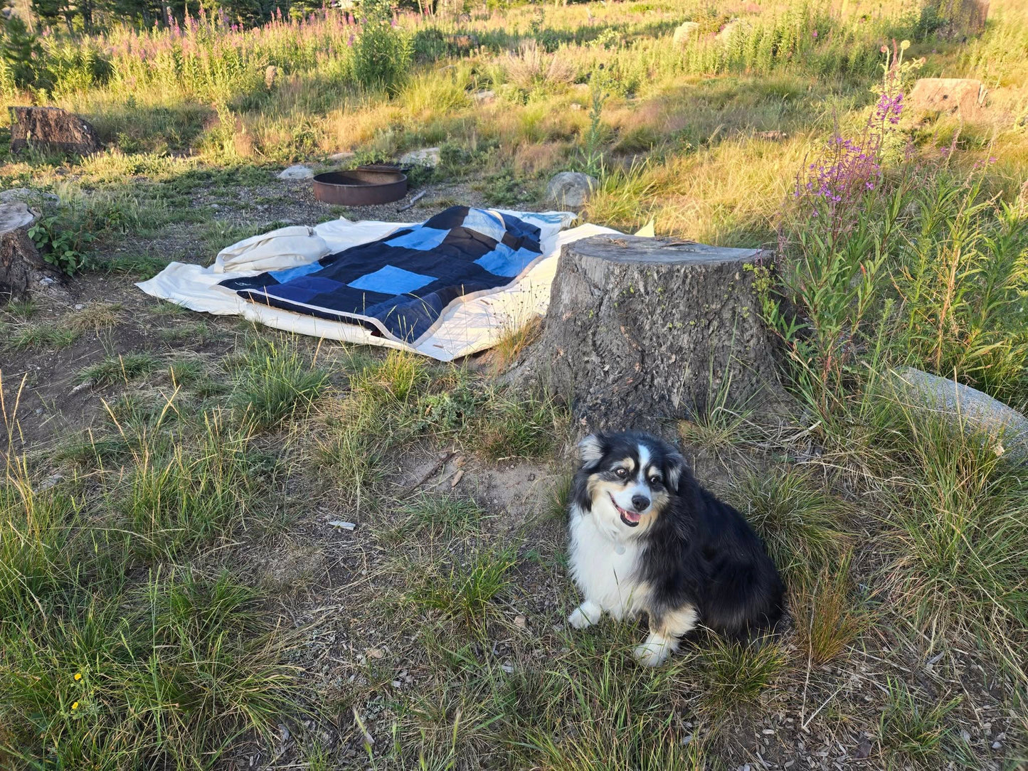 Tri-Fold Cowboy Bedroll